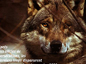 octobre, Zigouzis offre brochure loup nous enfants