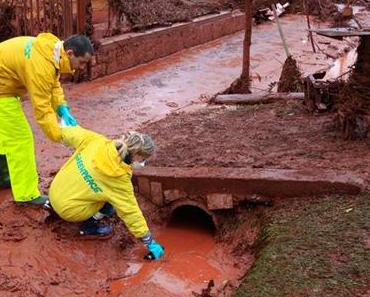 Hongrie : une catastrophe humaine et écologique majeure