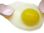 Bienfaits blancs d'œufs santé