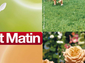 Plantez maintenant, profitez printemps