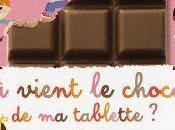 D'où vient chocolat tablette Karine Harel