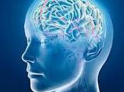 cerveau vaste puzzle