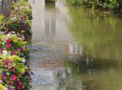 Hôtel Vieux Moulin immersion viticole Chablis