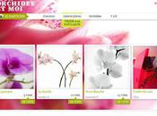 Concours "mon orchidée moi"