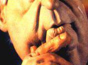 Balladur possibilite voir jean sarkozy politique vous demande arreter