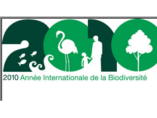 2010 année biodiversité