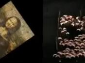 peut-on faire avec moutons