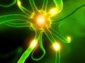 Alzheimer, solitude d’un neurone sollicitude laboratoires