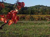 Ballade d'automne avec l'Homme