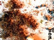 question nouveaux sites