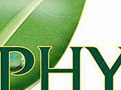 BIOtiful Crème Jour Hydratante PHYT'S