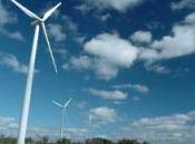 Commission européenne publie Lignes directrices visant concilier développement l'énergie éolienne biodiversité
