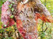 Fête feuilles Lyon, images
