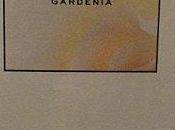 Invitation fêter anniversaire