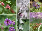 Mardi c'est permis d'être printemps