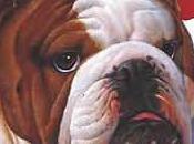 Générateur British Name