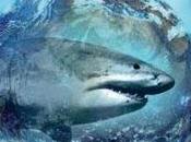 requin, poisson cétacé tout écosystème présenté documentaire