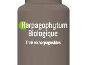 L’harpagophytum