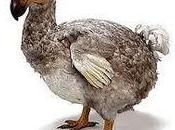 Malgaches maltraités Maurice