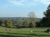 Vallée Cher Allier