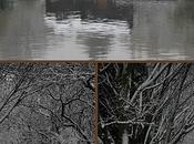 Gris bleu blanc gris