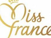 Laury Thilleman, Miss Bretagne devient France 2011