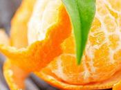 "Miss France" vient Corse