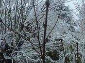 neige...c'est beau...Mais quelle galère !!!!!