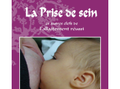 L'art mettre bébé sein réussir allaitement