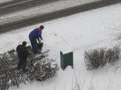 voie sous développement