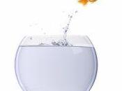 [Re]sourcez [ré]solutions 2011