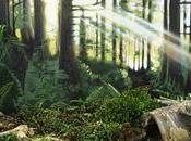 Joyeux Noel Bonne Année 2011