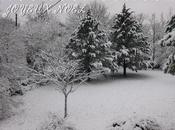 dimanche chaud avec retard JOYEUX NOEL