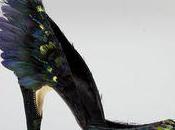 Coup pompe décembre 2010)