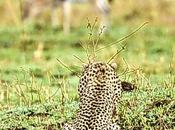 jolie histoire d'amour.