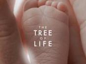 Tree Life, Terrence Malick