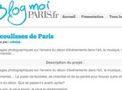 Votez pour BlogMoi