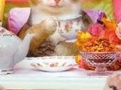 Mardi c'est permis faire bien