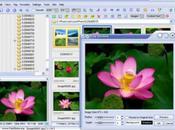 Logiciel FastStone Image Viewer gril