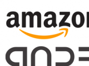 store Amazon pour 2011