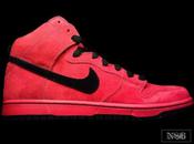 Nike Dunk High True Automne 2011