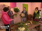Interflora chez silence pousse