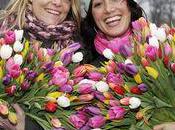 conseils pour tulipes coupées