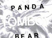 Panda Bear 'Tomboy'
