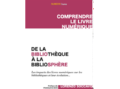 Comprendre livre numérique: collection blog