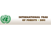 2011 proclamée Année internationale forêts l'ONU