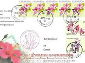 Fleurs Taïwan