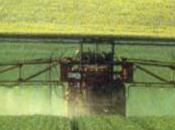 Rapport prix alimentaires