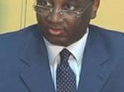 Cameroun: Mohamadou Bayero Fadil vice-président Conseil Directeurs INMPI