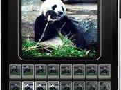 GIFvid, photos pour créer animation iphone...